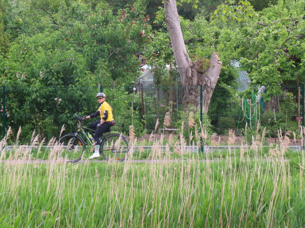 IMG_2663.JPG