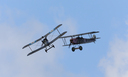 JACL2898.jpg