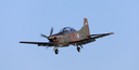JACL6252.jpg