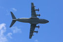 JACL8908.jpg