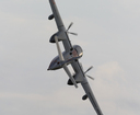 JACL0327.jpg