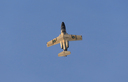 JACL0685.jpg