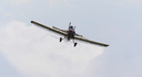 JACL1127.jpg