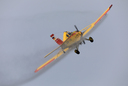 JACL1142.jpg