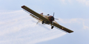 JACL1175.jpg