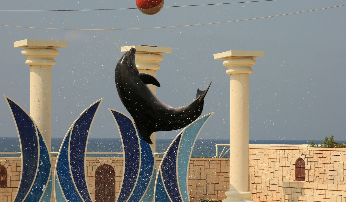 227A1086.jpg